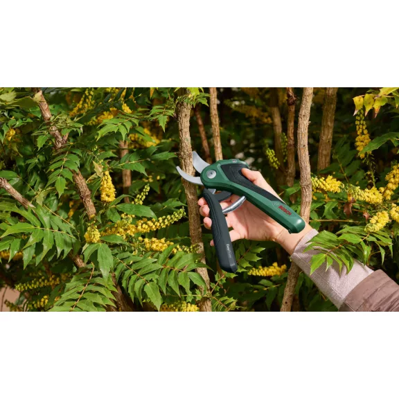 BOSCH 06008B2102 EasyPrune Akkus metszőolló