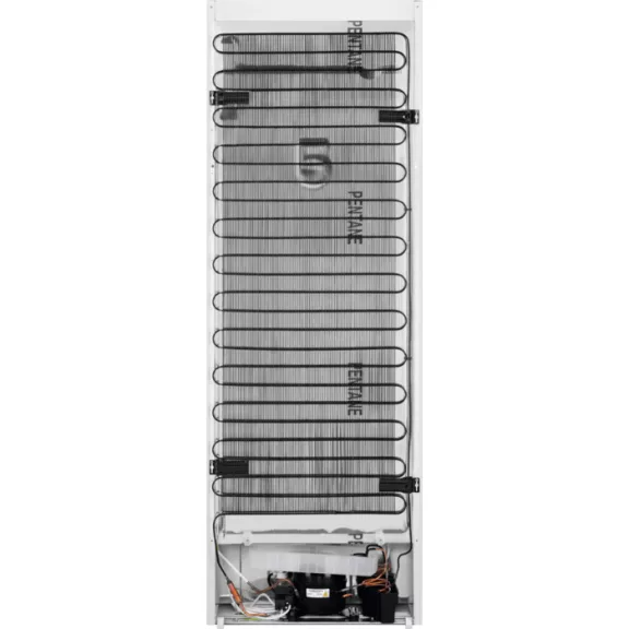 Electrolux LRC4AE3W1L Szabadonálló hűtőszekrény | Fehér | 175 cm